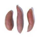 GunGoGu Sweet Potatoes