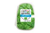 Baby Spinach