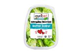 Organic Baby Butter Lettuce