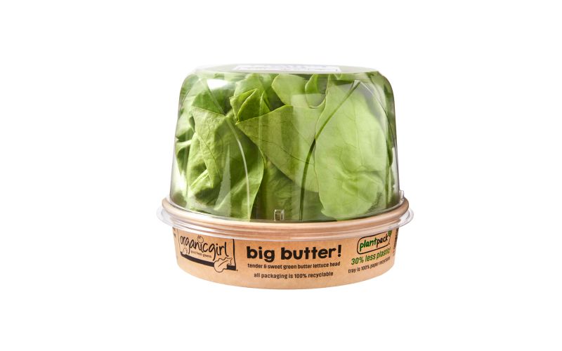 Organic Butter Lettuce