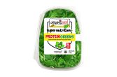 Protein Greens