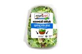 Organic Spring Mix & Baby Kale Blend
