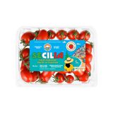 Secilia Tomatoes on the Vine