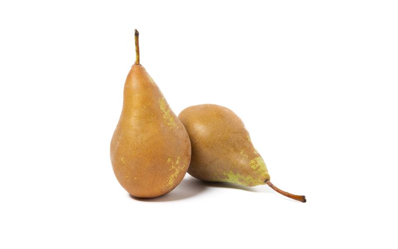 Conference Pears