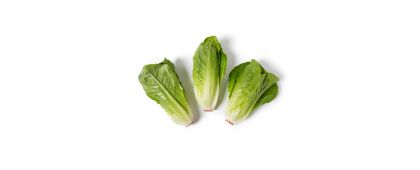 Junior Romaine Hearts