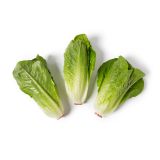 Junior Romaine Hearts