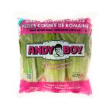 Junior Romaine Hearts