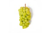 Shine Muscat Grapes