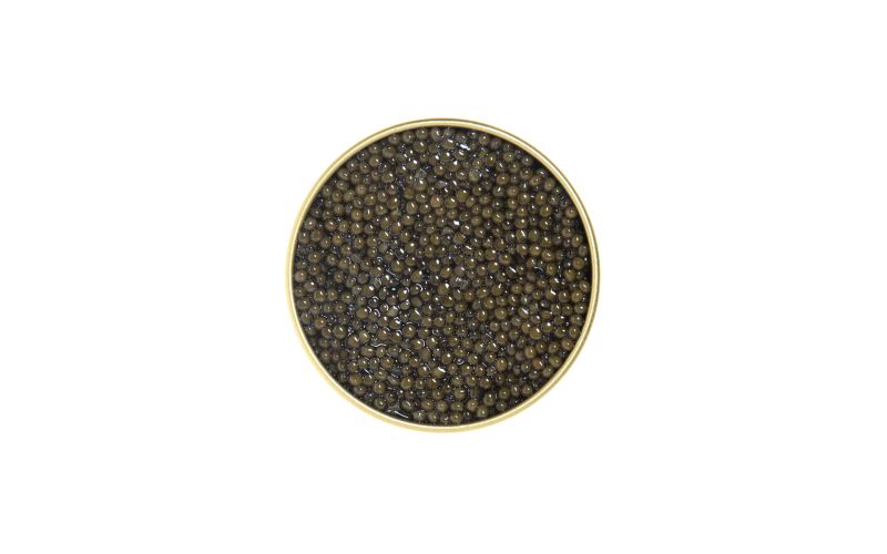 Polish Osetra Sturgeon Caviar