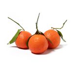 Kori Seedless Stem & Leaf Mandarins