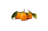 Stem & Leaf Gold Nugget Mandarins