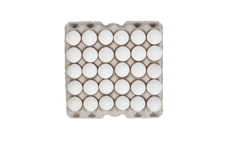 Large Grade AA Loose White 30 Dozen Eggs