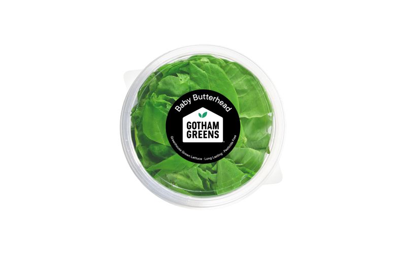 Baby Butterhead Lettuce