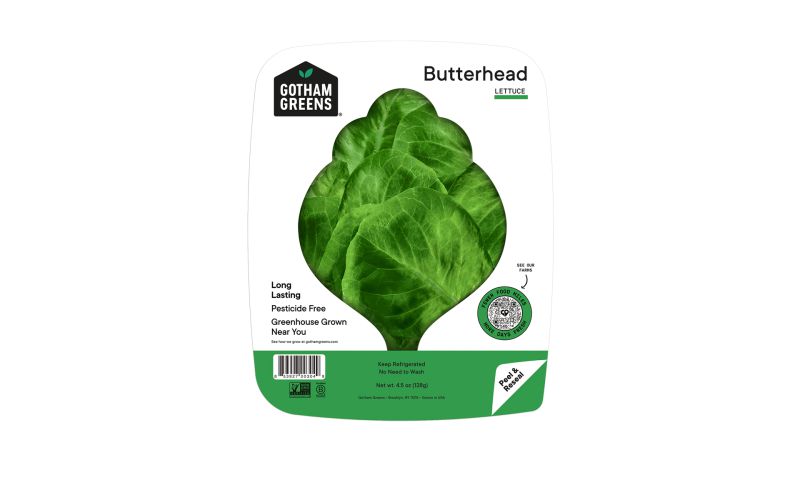 Butterhead Lettuce
