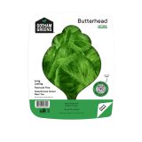 Butterhead Lettuce