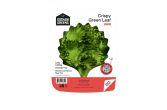 Crispy Green Leaf Lettuce