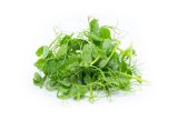 Petite Pea Tendrils