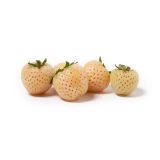 White Strawberries