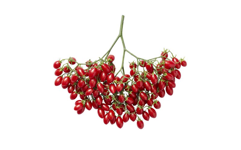 Grape Tomatoes on the Branch