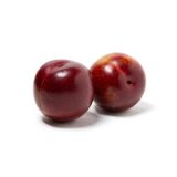 Omega Plums