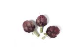 Baby Small Purple Artichokes
