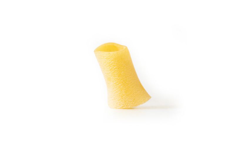 Fresh Paccheri Pasta