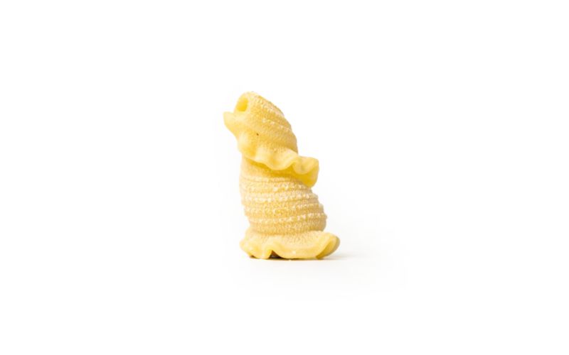 Fresh Campanelle Pasta