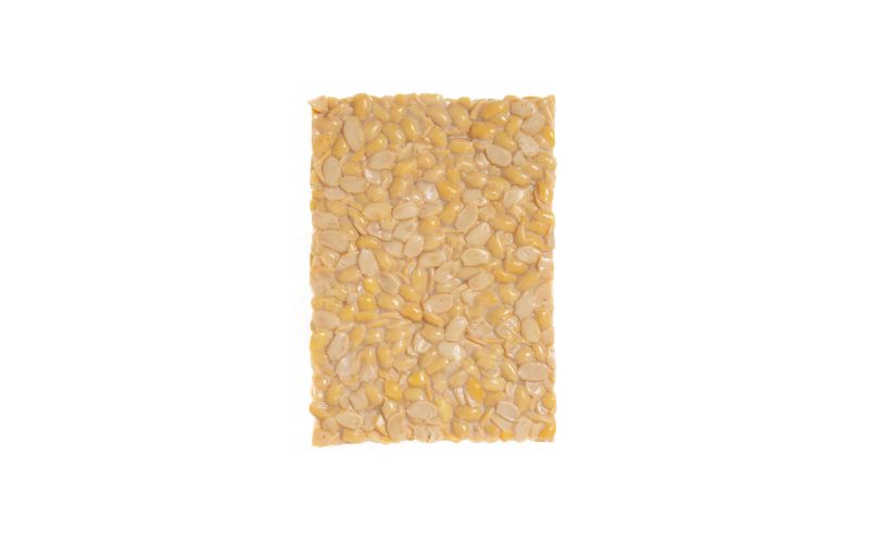 Organic Traditional Tempeh
