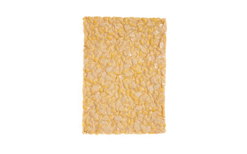 Organic Traditional Tempeh Bulk Pack