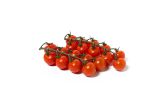 Cherto Cherry Tomatoes on the Vine