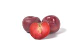 Crimson Punch Red Plumcots