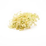 Organic Elderflowers