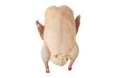 Whole Ducks