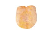 Magret Duck Breasts