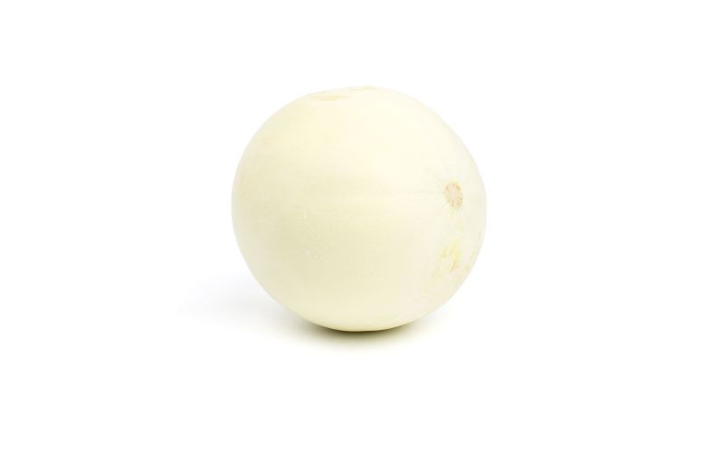 Regal Oak Honeydew Melons