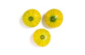 Zucchiolo Squash