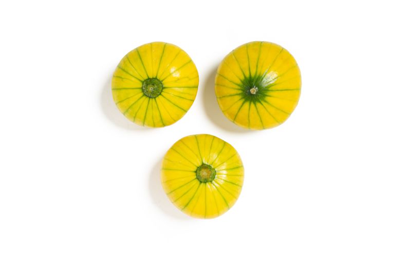 Zucchiolo Squash