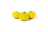Zucchiolo Squash