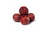 Crimson Punch Plumcots