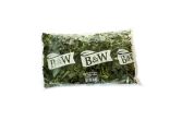 Red Watercress