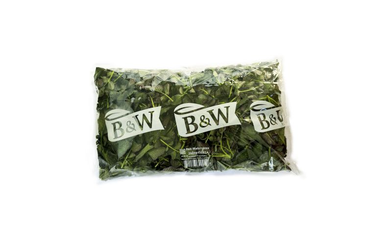 Red Watercress