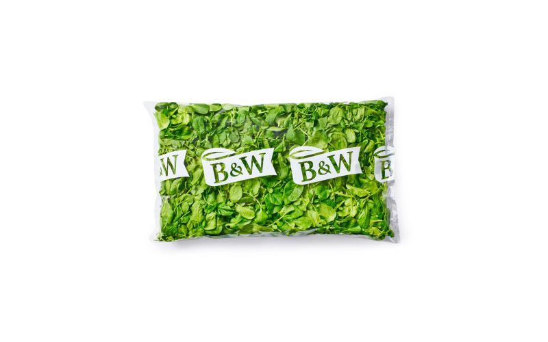 Baby Watercress