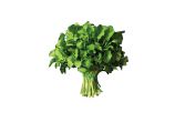 Bunched Watercress