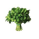 Bunched Watercress