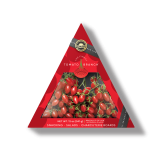Grape Tomatoes on the Branch