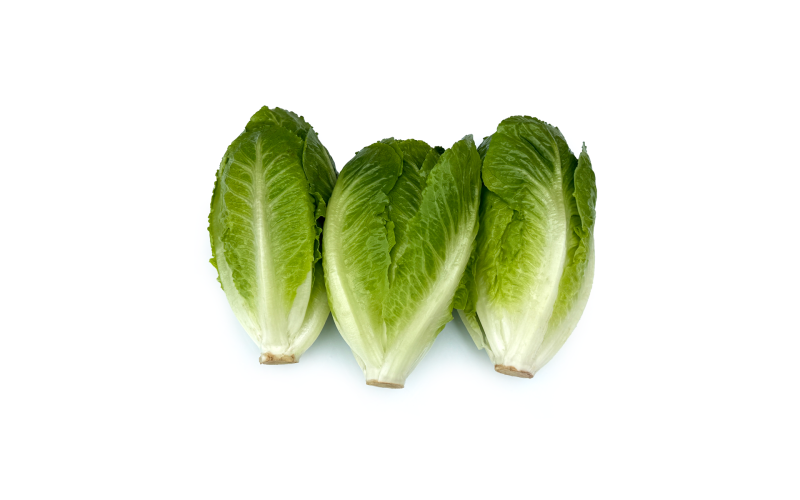 Baby Romaine Hearts