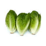 Baby Romaine Hearts