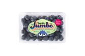 Organic Jumbo Blueberries