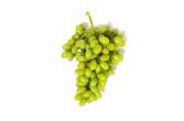 Jumbo Premium Stella Bella Green Seedless Grapes