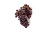 Gum Drop Grapes